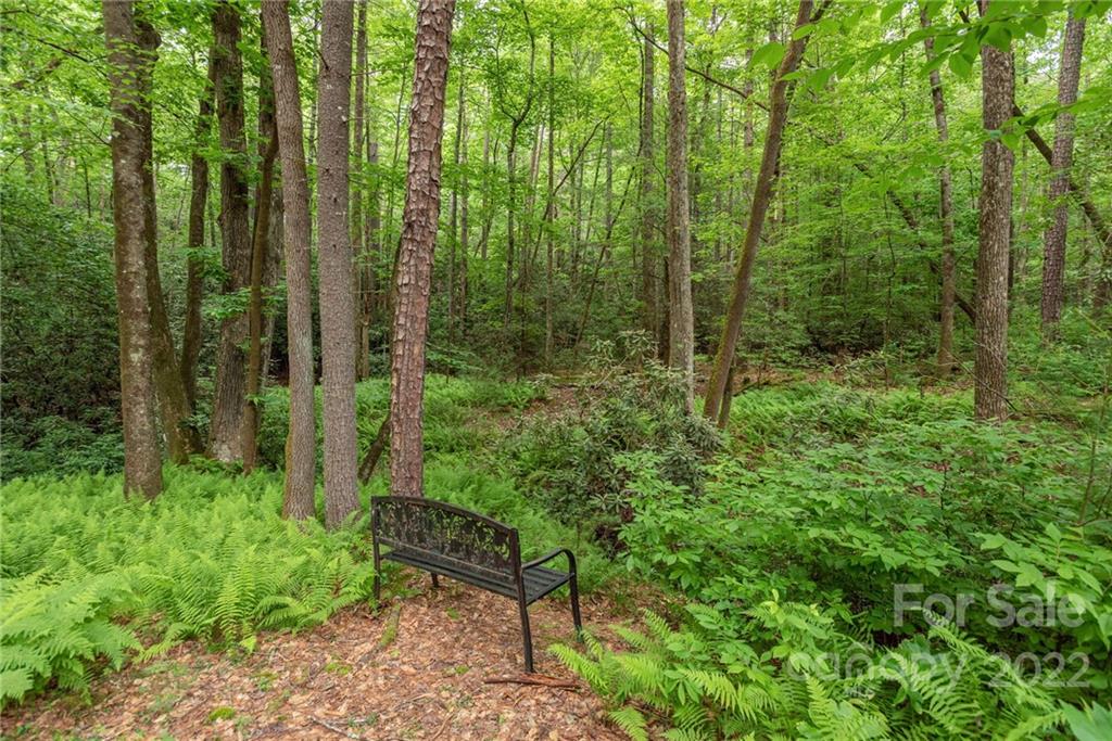 941 Deerlake Road Brevard, NC 28712 - Photo 35 of 43 Gallery Image 35