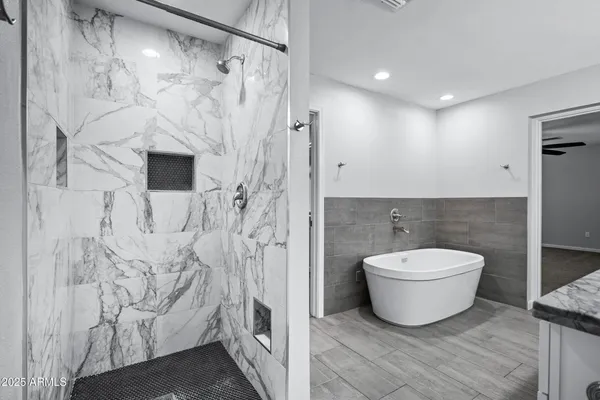 a bathroom with a toilet and a bathtub