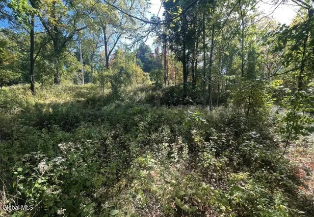 $16,000 | L10 Forbes Avenue, Troy, NY 12180