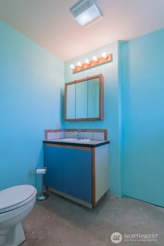 a bathroom with a sink and a toilet