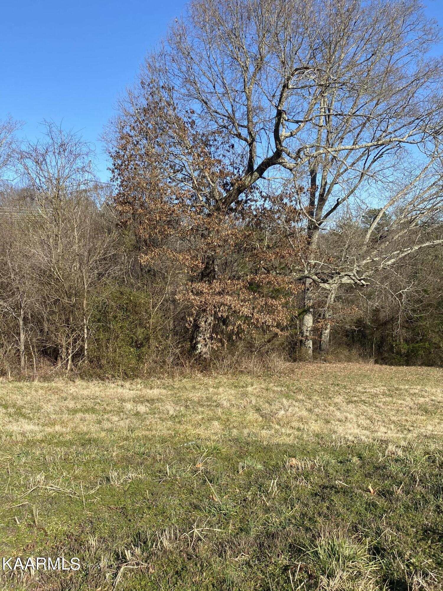 8408 Campbells Point Road Corryton, TN 37721 - Photo 5 of 8 Photo Feb 23, 3 57 27 PM