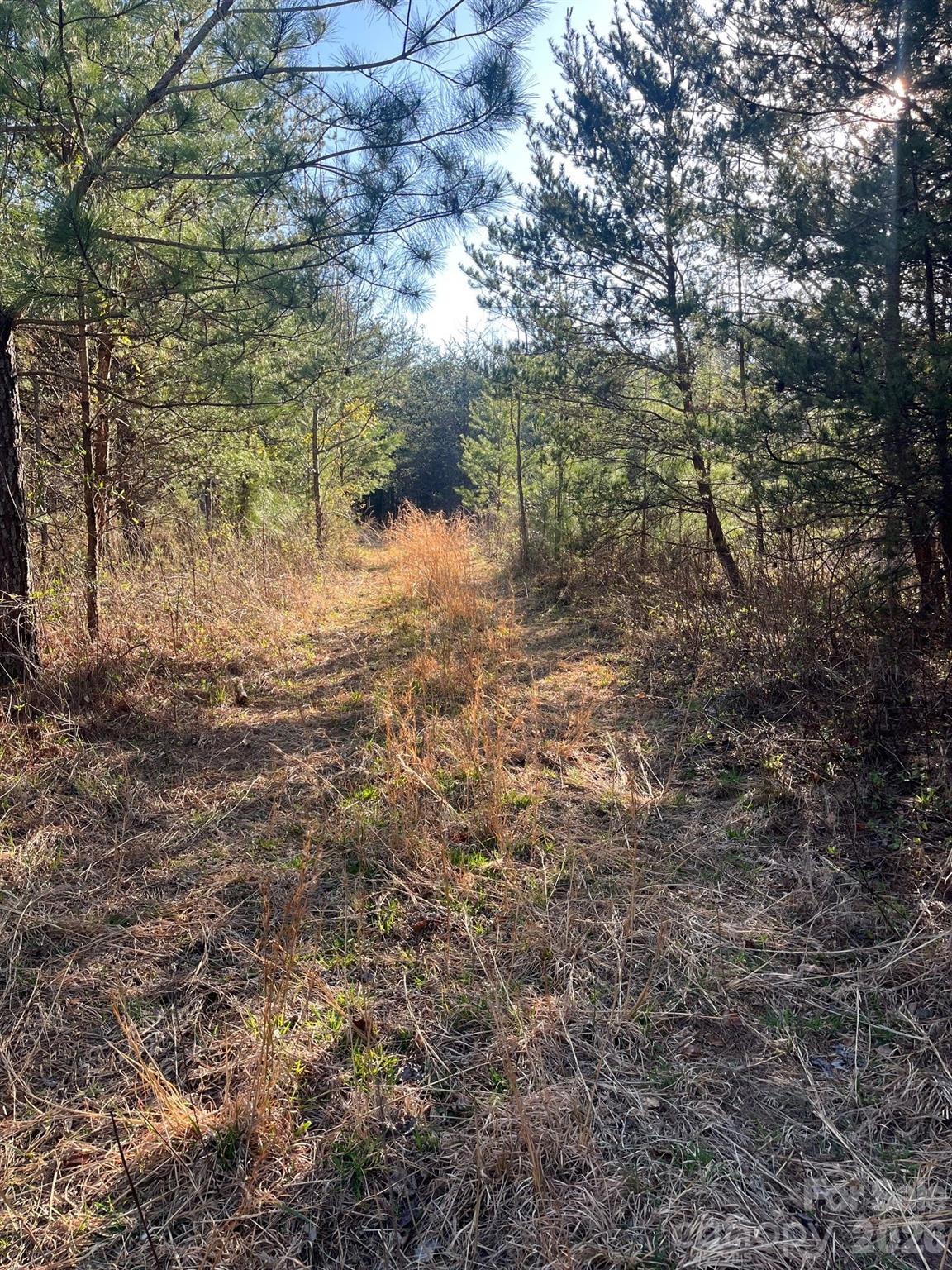 Tbd Southern Way Nebo, NC 28761 - Photo 4 of 22