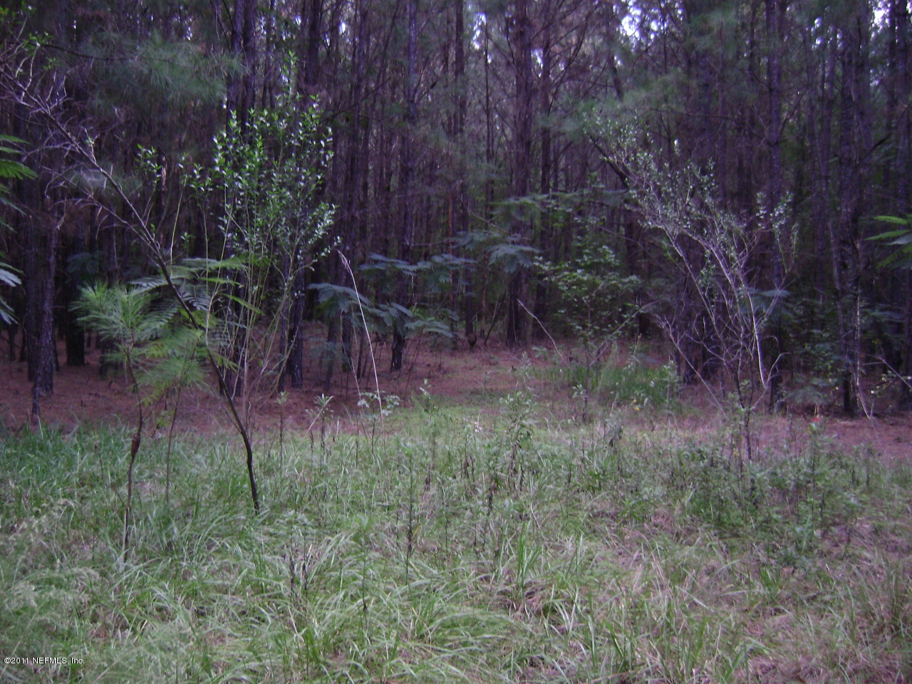 8622 Pritchard Road Jacksonville, FL 32220 - Photo 1 of 5 Vacant Land