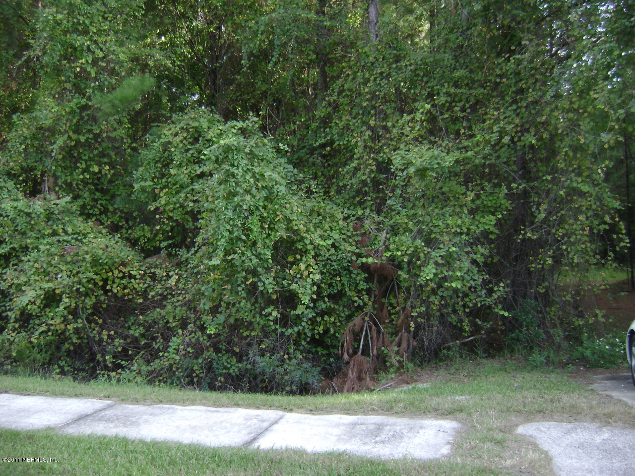 8622 Pritchard Road Jacksonville, FL 32220 - Photo 2 of 5 Land 2