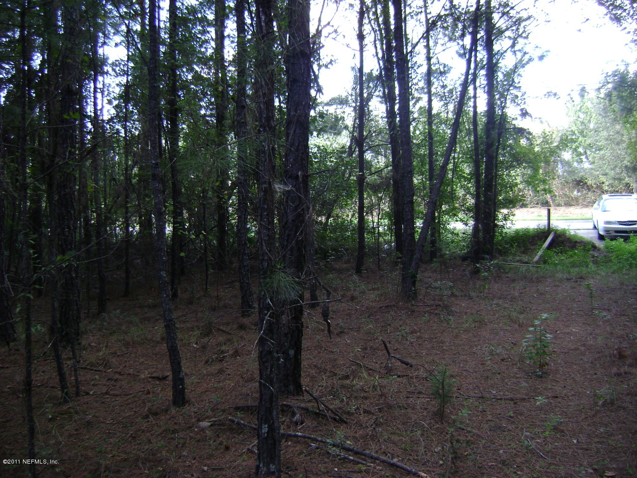 8622 Pritchard Road Jacksonville, FL 32220 - Photo 3 of 5 Land 3