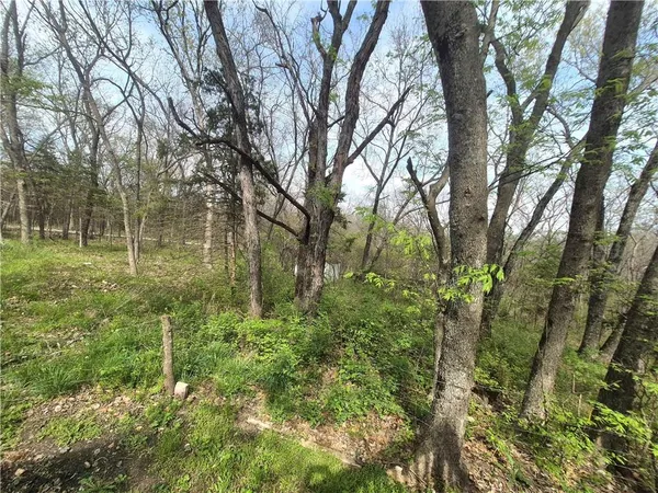 $199,000 | 17999 State Highway, Hermitage, MO 65668