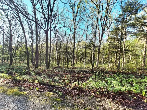 $199,000 | 17999 State Highway, Hermitage, MO 65668