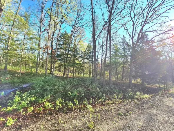 $199,000 | 17999 State Highway, Hermitage, MO 65668