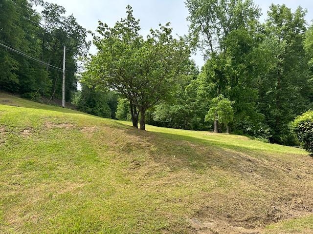 1625 New Buckley Road Ashland, KY 41102 - Photo 11 of 15