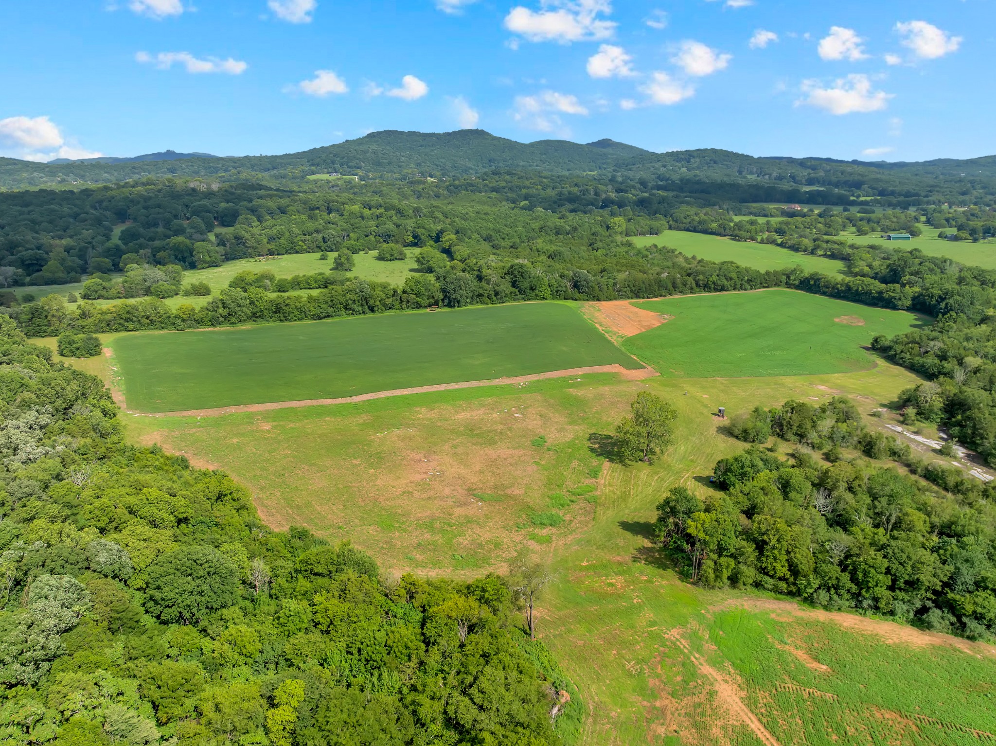0 South Commerce Road Watertown, TN 37184 - Photo 10 of 37 Gallery Image 10