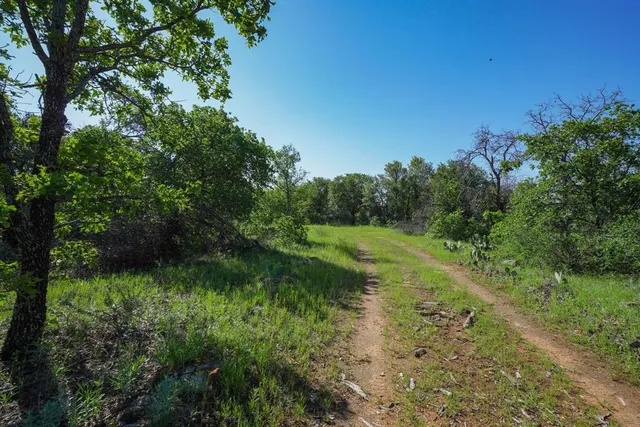 $242,250 | Tbd Lot 17 Tbd Road, Gordon, TX 76453