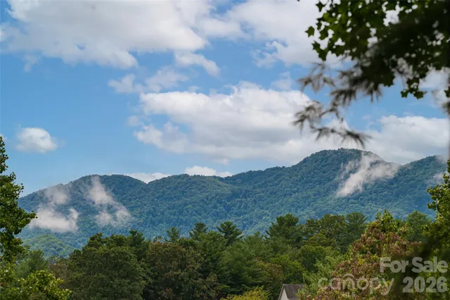a view of a bunch of trees in a field