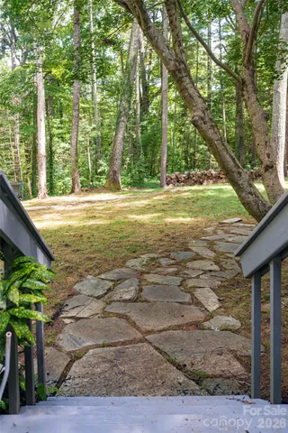 a view of a yard with a trees