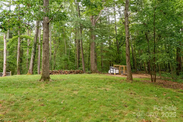 a view of a house with backyard and trees