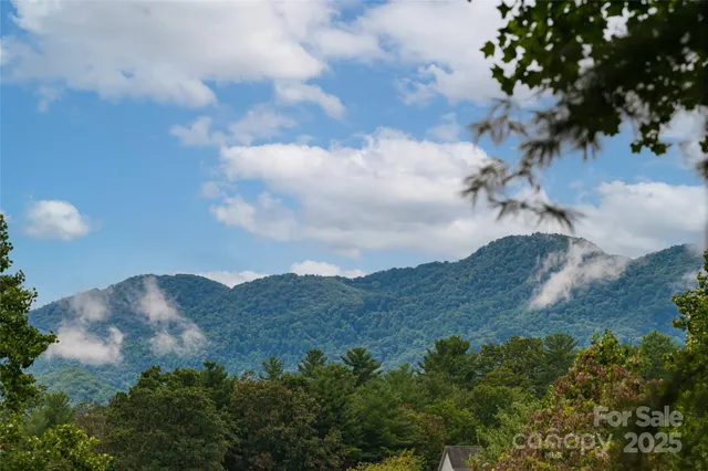 a view of a bunch of trees in a field