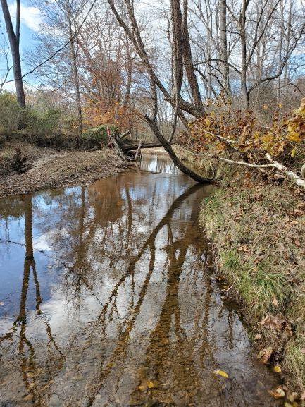 Muddy Creek Road Dillwyn, VA 23936 - Photo 19 of 21 Gallery Image 19