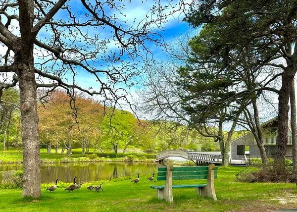 $1,800,000 | 18 Wood Duck Way, Oak Bluffs, MA 02557