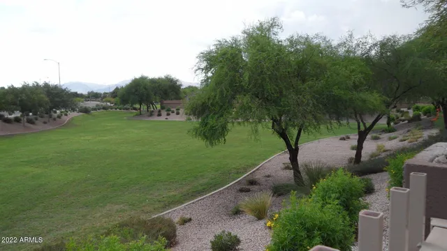 a view of a grassy field with trees