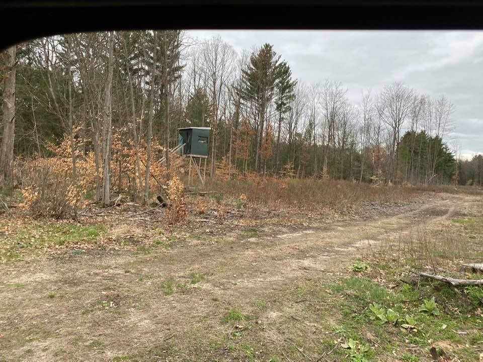 11233 Arbogast Road Morley, MI 49336 - Photo 8 of 9 1886335-7.JPG