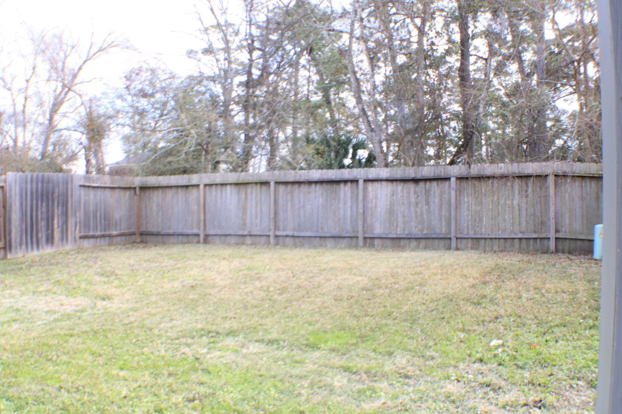 2518 Kingsford Arbor Way Spring, TX 77373 - Photo 17 of 19 backyard