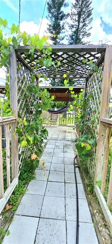 a view of a pathway with a tree