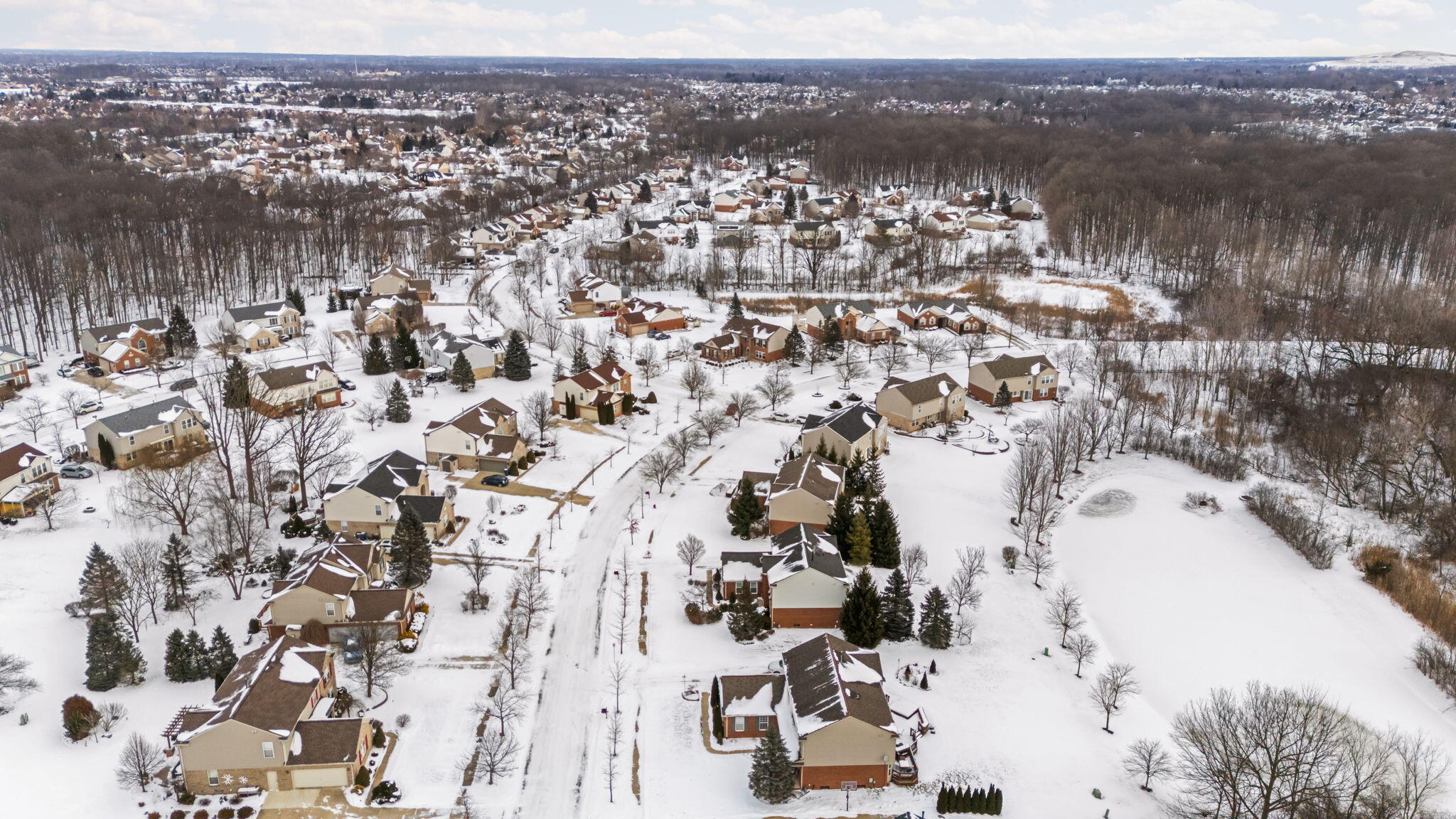 48893 5th Avenue Canton, MI 48188 - Photo 51 of 61 8-web-or-mls-DJI_20260124132813_0550_D