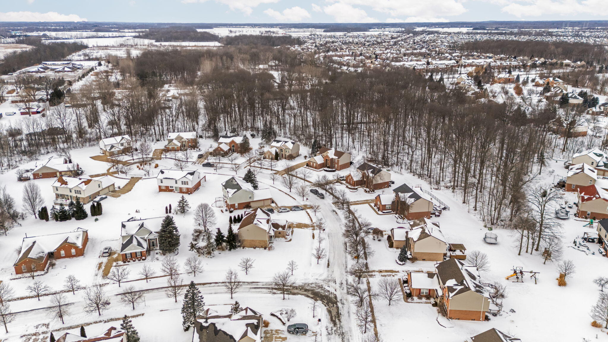 48893 5th Avenue Canton, MI 48188 - Photo 53 of 61 10-web-or-mls-DJI_20260124132826_0552_D
