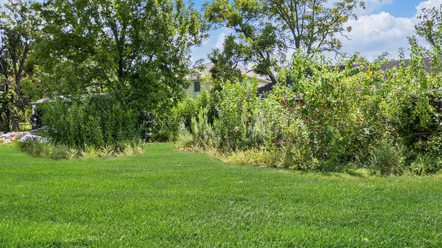 a view of a lush green space