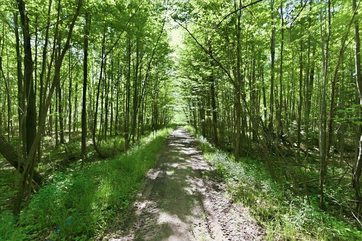 N1563 Midway Merrill, WI 54452 - Photo 74 of 90