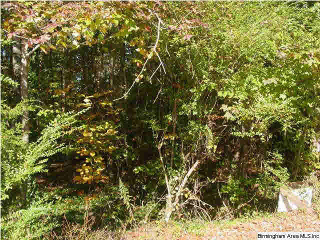 Old Choccolocco Road, Unit 73 Anniston, AL 36207 - Photo 6 of 30
