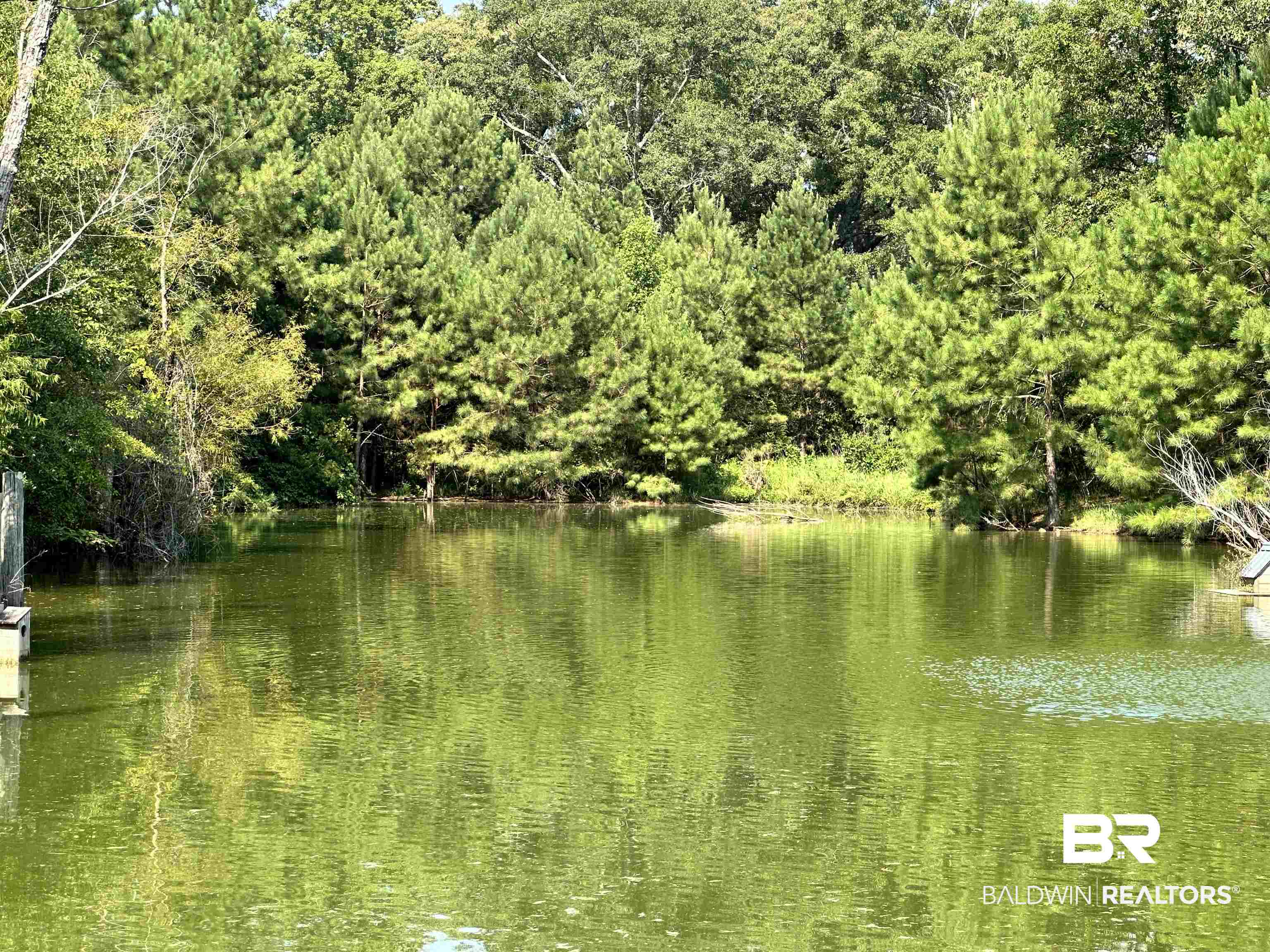 12940 A Mason Ferry Road Wilmer, AL 36587 - Photo 27 of 50