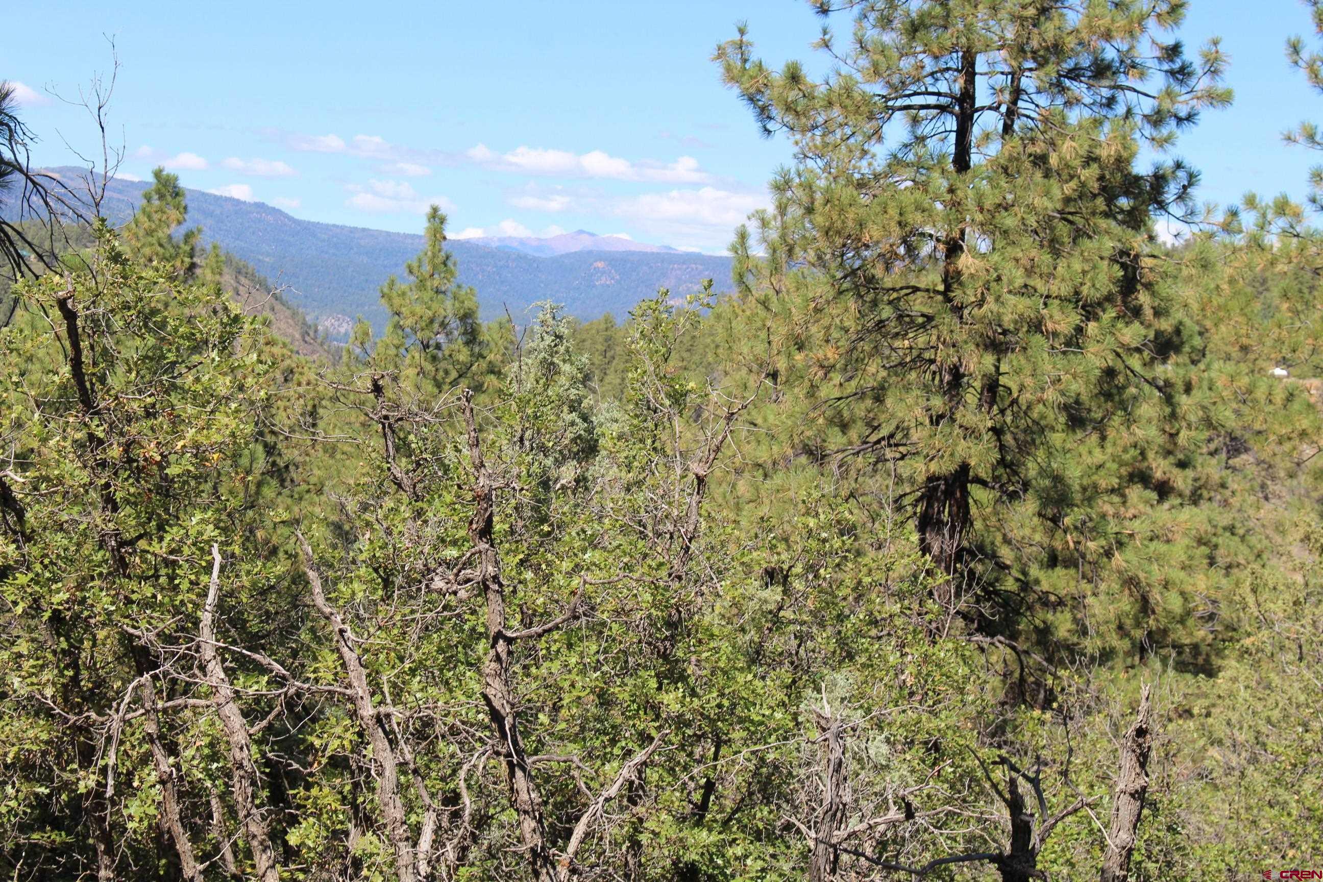 1286 Crooked Road Pagosa Springs, CO 81147 - Photo 12 of 20 a view of a building