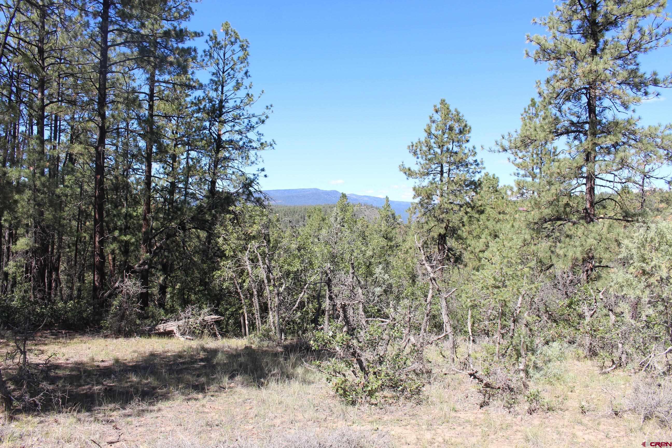 1286 Crooked Road Pagosa Springs, CO 81147 - Photo 10 of 20 a view of a yard with a tree
