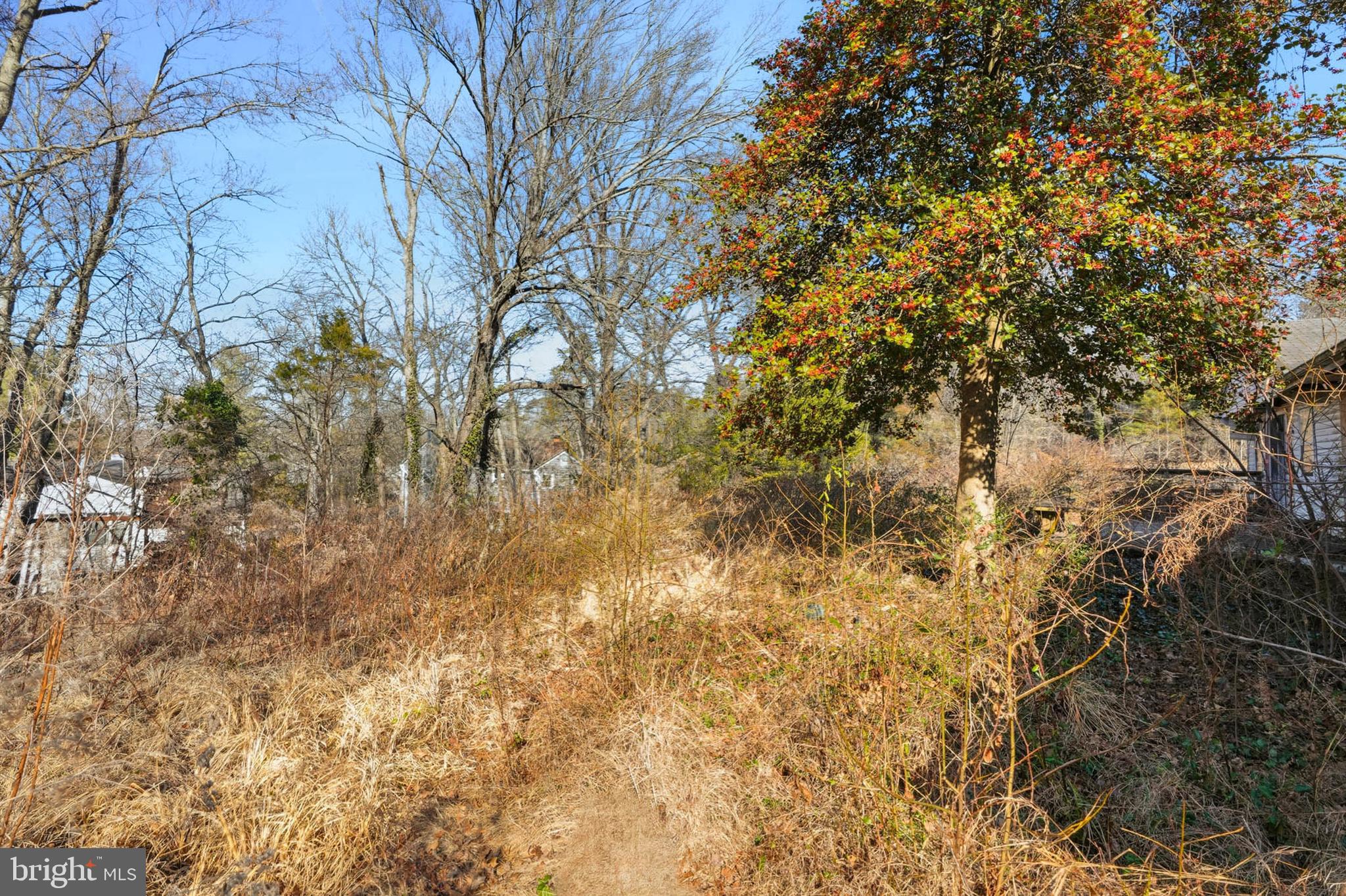9200 Pleasant Court Laurel, MD 20708 - Photo 9 of 10 a view of a yard with a tree