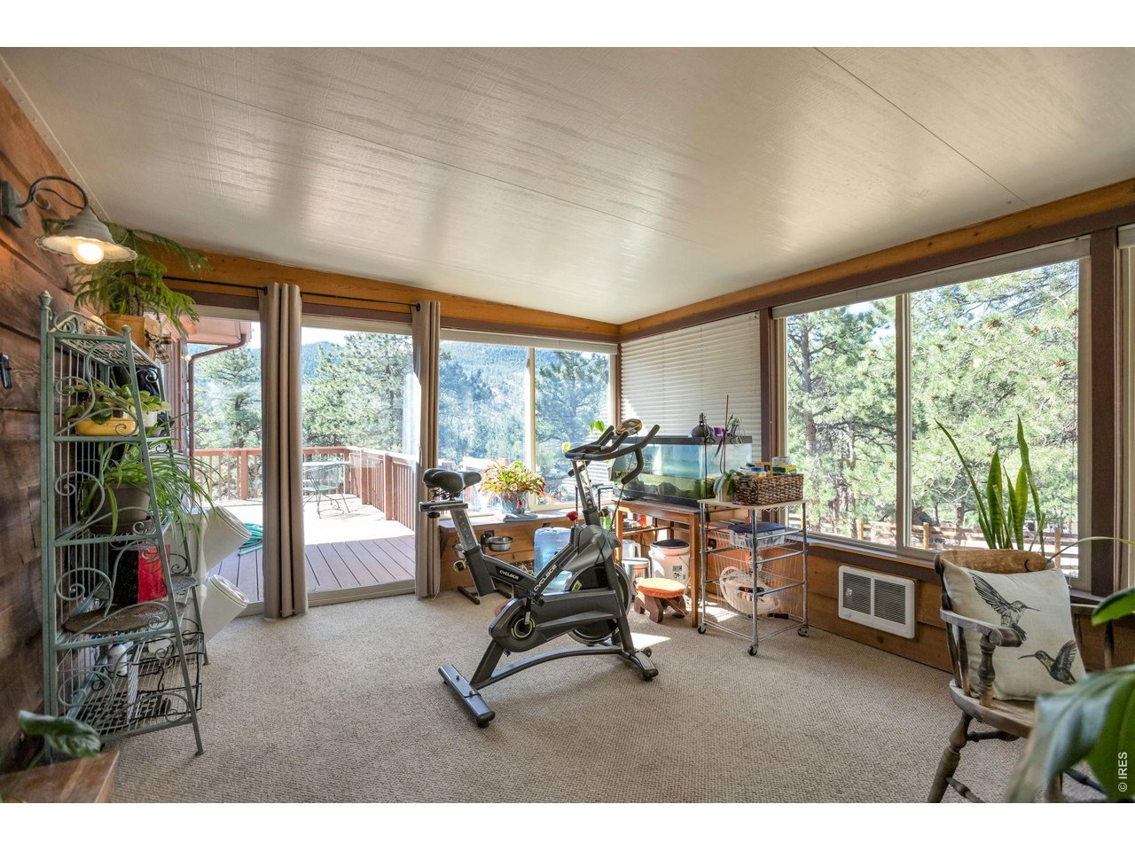 1477 Kiowa Road Lyons, CO 80540 - Photo 9 of 45 Sun Room
