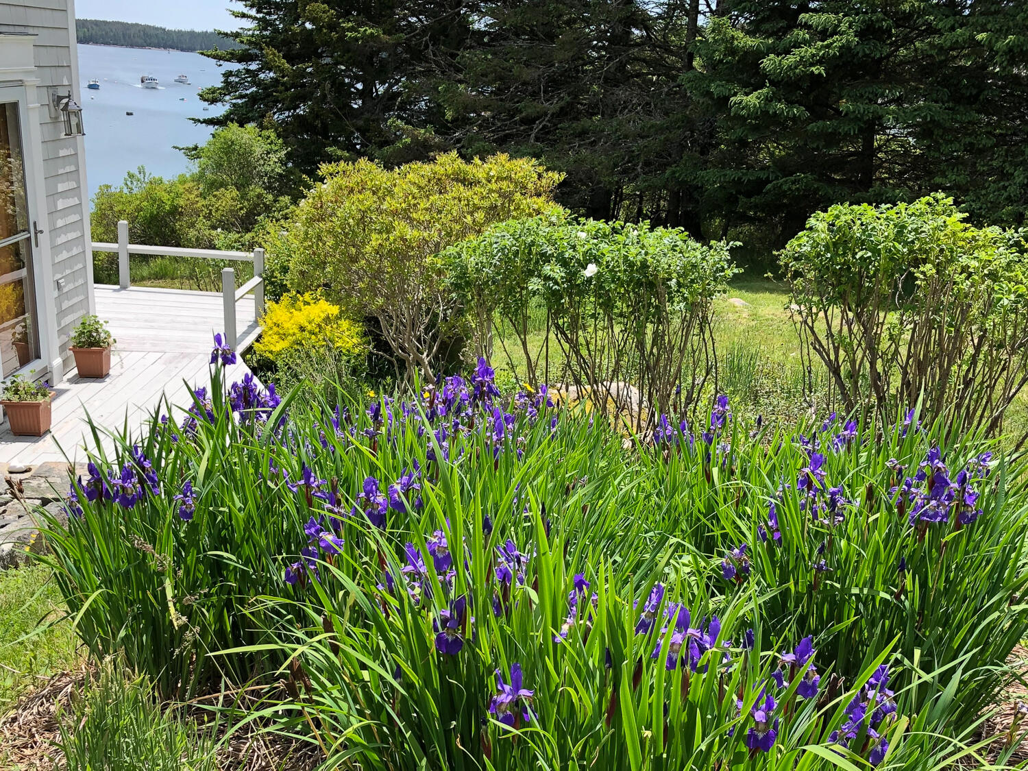 14 Deer Run Lane Swans Island, ME 04685 - Photo 31 of 44 Landscaping