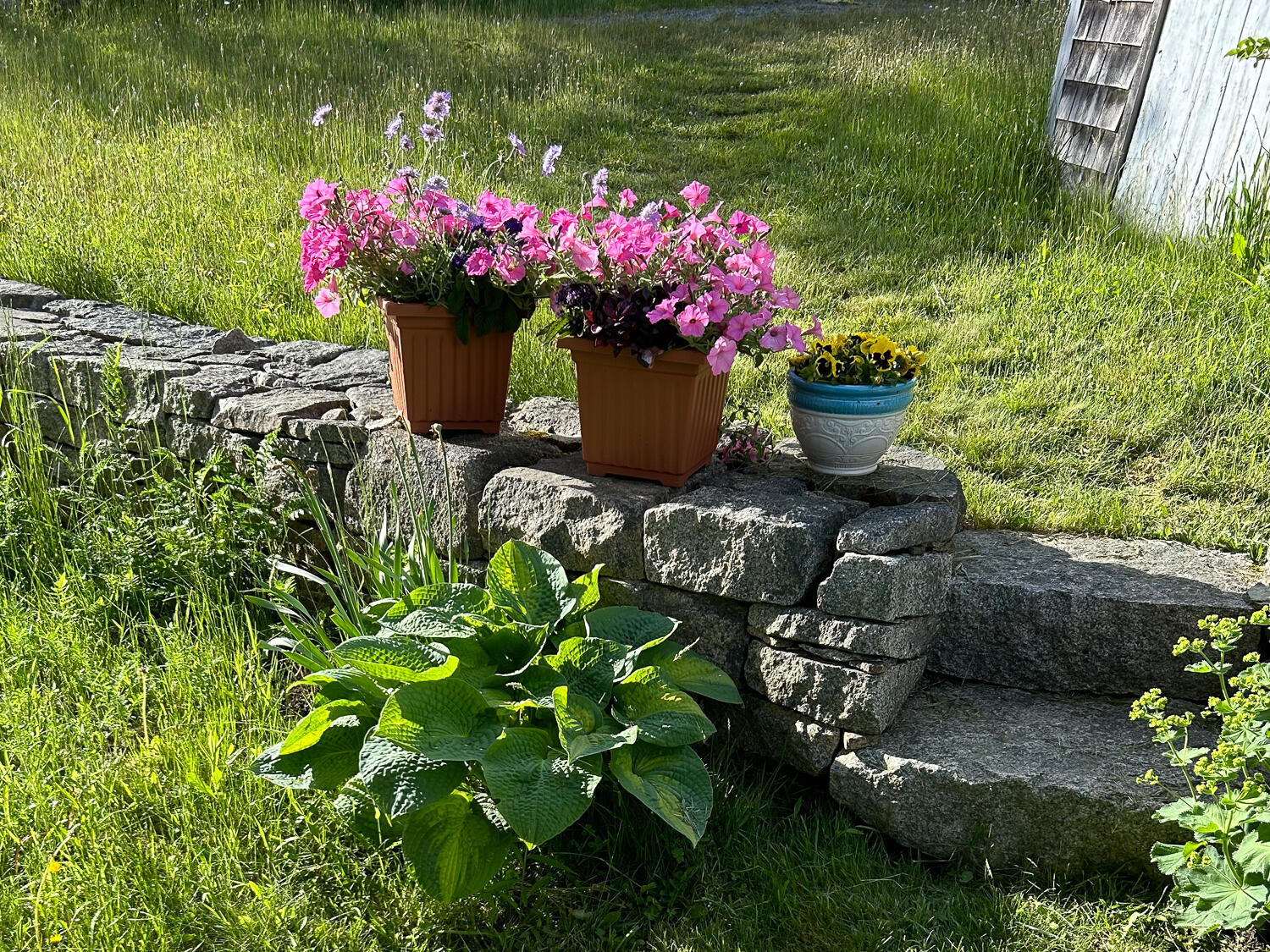 14 Deer Run Lane Swans Island, ME 04685 - Photo 32 of 44 Landscape