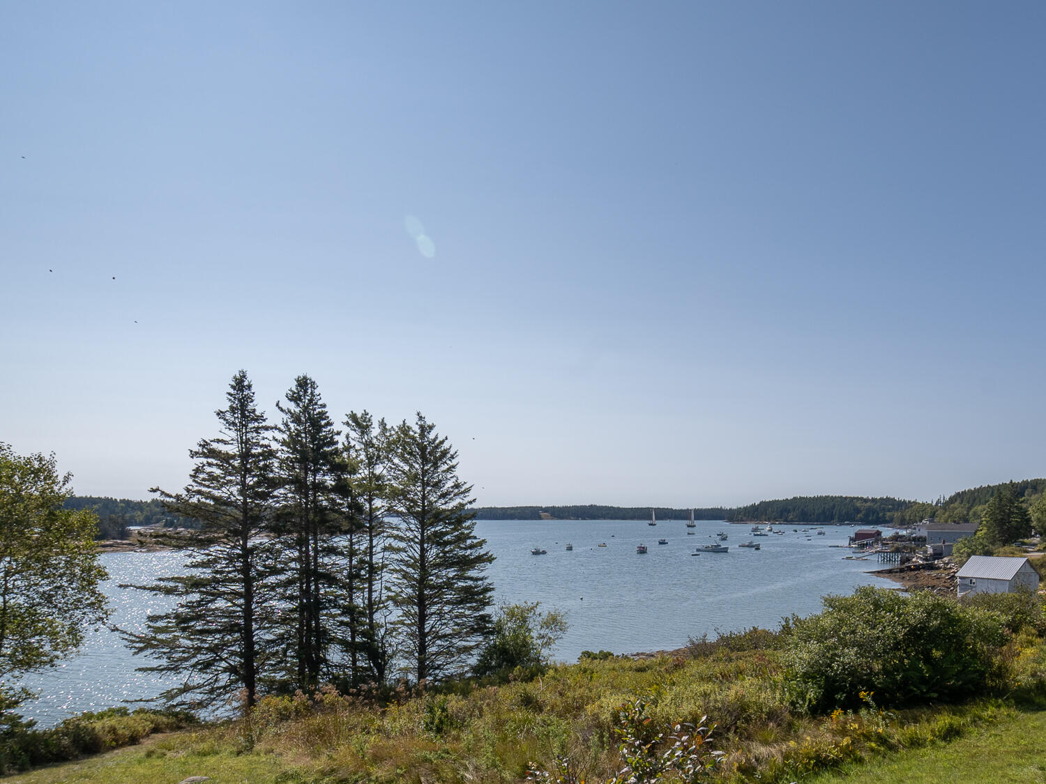 14 Deer Run Lane Swans Island, ME 04685 - Photo 35 of 44 Harbor View