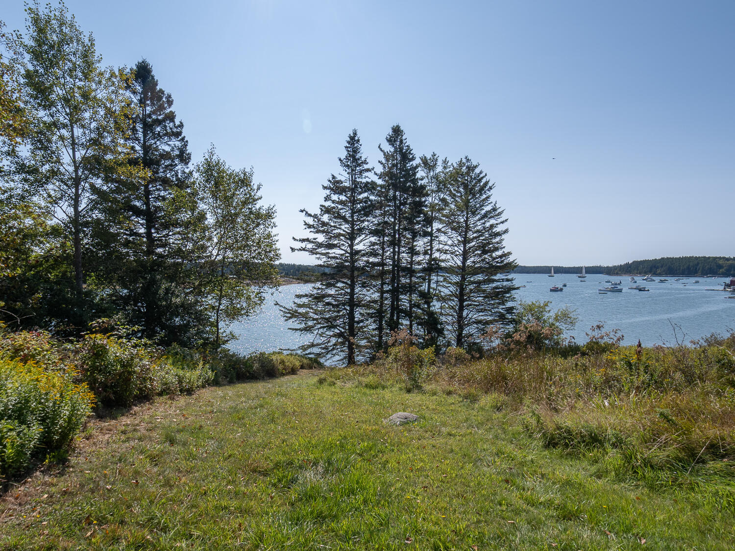 14 Deer Run Lane Swans Island, ME 04685 - Photo 37 of 44 Waterfront