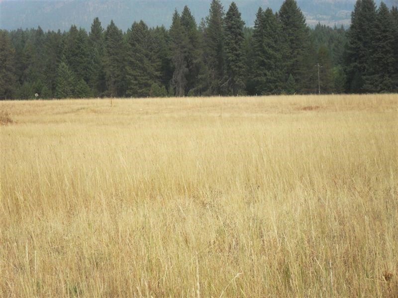 823 Orin-Rice Road Colville, WA 99114 - Photo 18 of 20