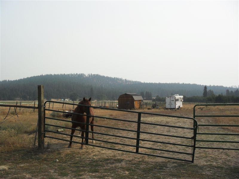 823 Orin-Rice Road Colville, WA 99114 - Photo 5 of 20