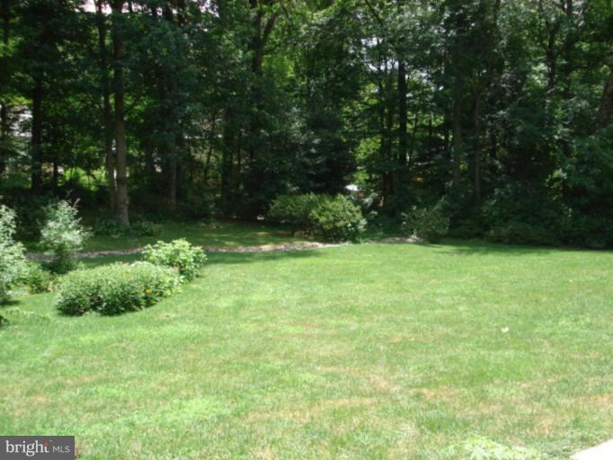 4309 Guinea Road Annandale, VA 22003 - Photo 9 of 10 Back yard