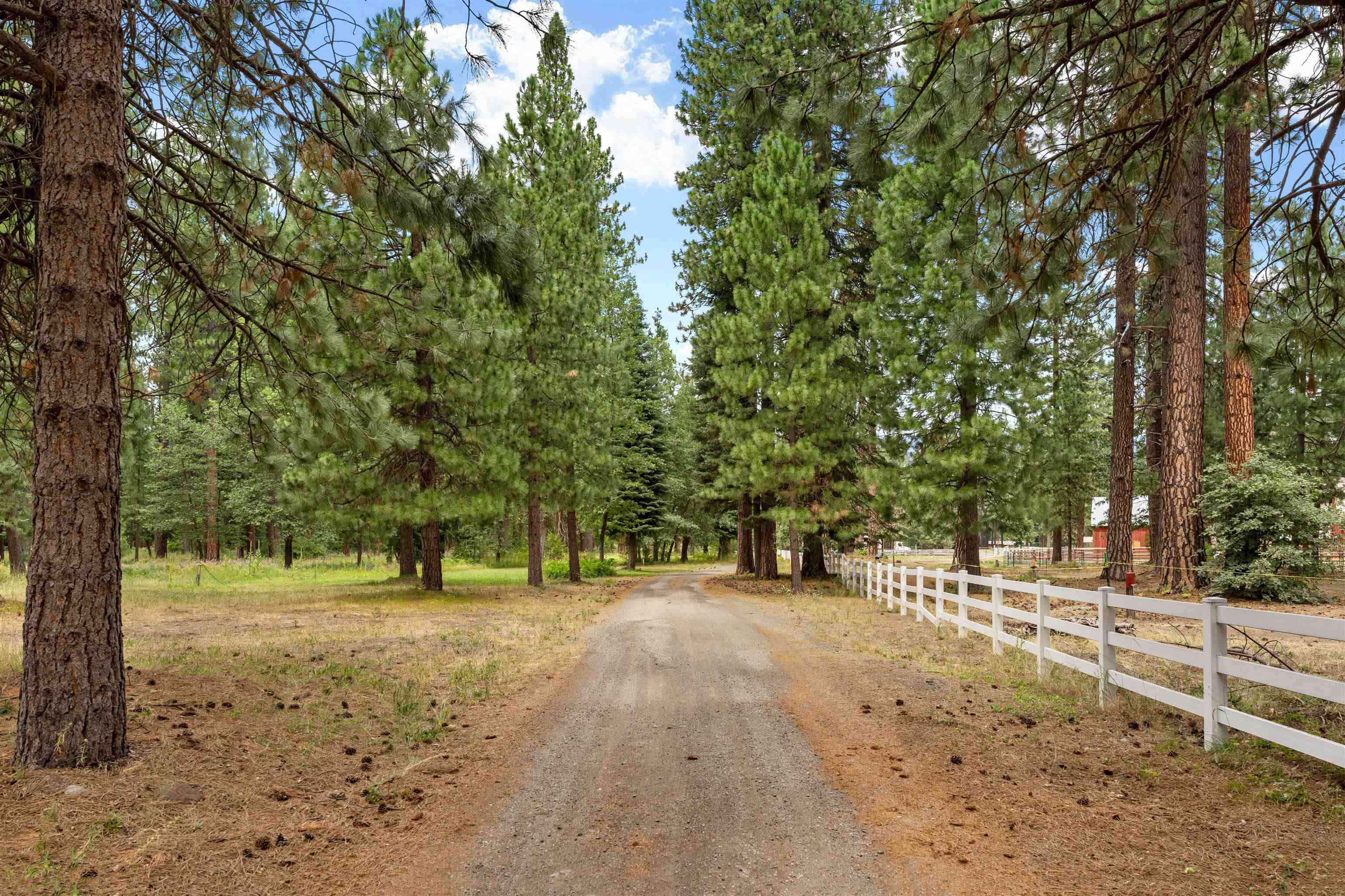 Lot C Red Cloud Rnch Road McCloud, CA 96057 - Photo 7 of 21 Gallery Image 7