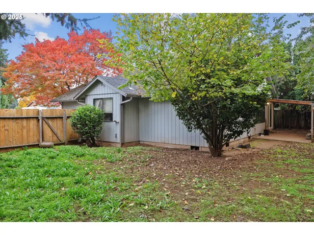 a view of a yard with a tree