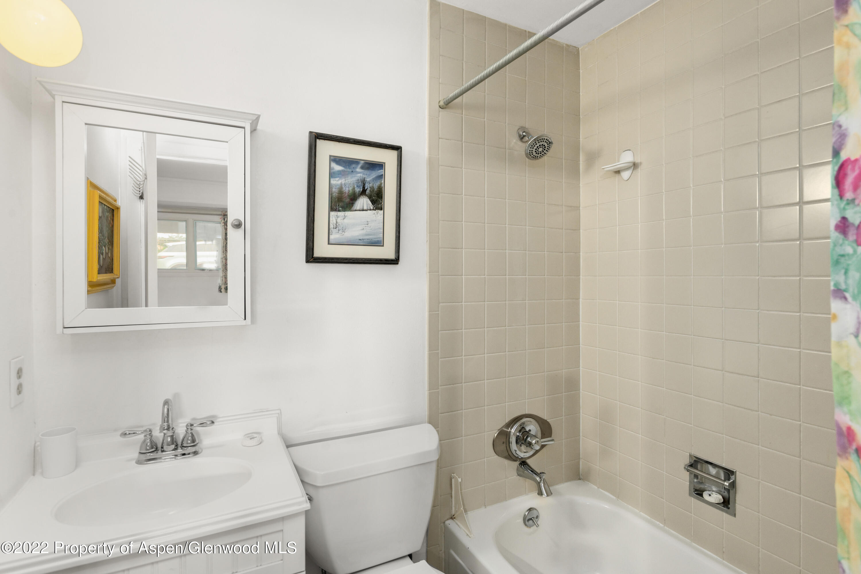 521 North 7th Street, Unit B Aspen, CO 81611 - Photo 18 of 26 a bathroom with a sink mirror and toilet