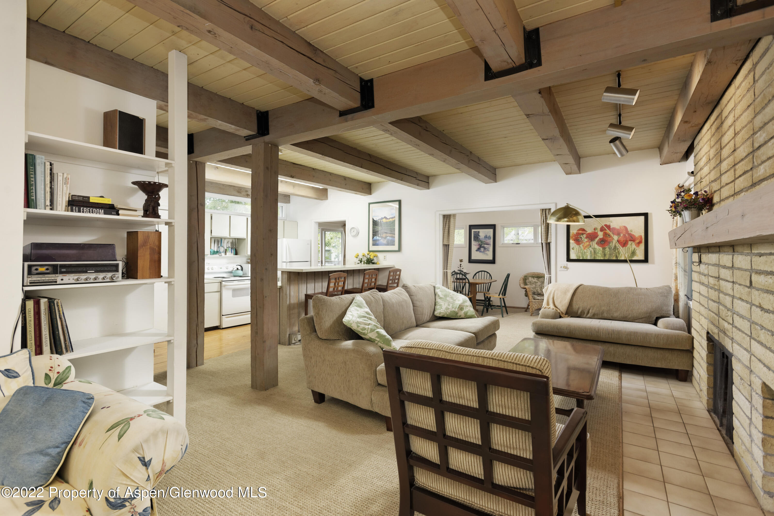 521 North 7th Street, Unit B Aspen, CO 81611 - Photo 3 of 26 a living room with furniture and a flat screen tv