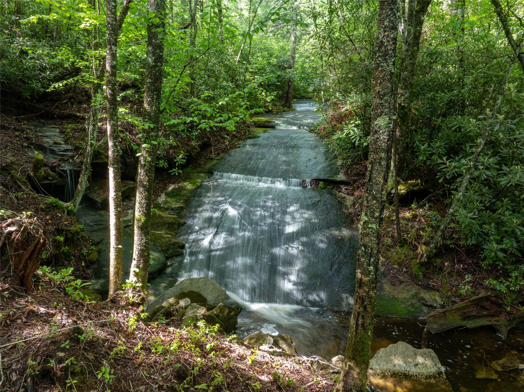 Tbd Tbd Long Ridge Road Lake Toxaway, NC 28747 - Photo 16 of 21 Gallery Image 16