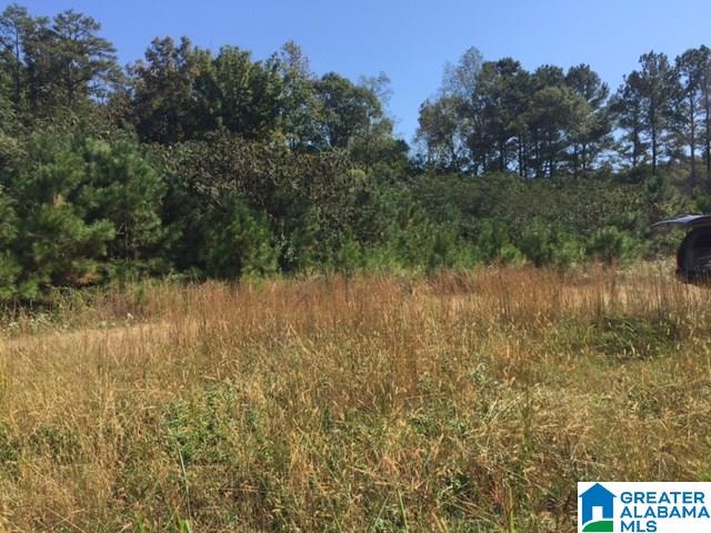 1665 Brookside Coalburg Road Mount Olive, AL 35117 - Photo 1 of 1