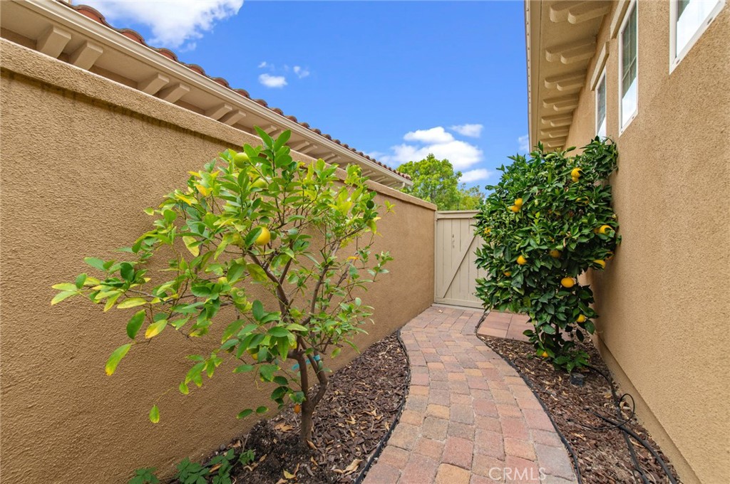 77 Hallmark Irvine, CA 92620 - Photo 34 of 35 a view of a pathway with a yard