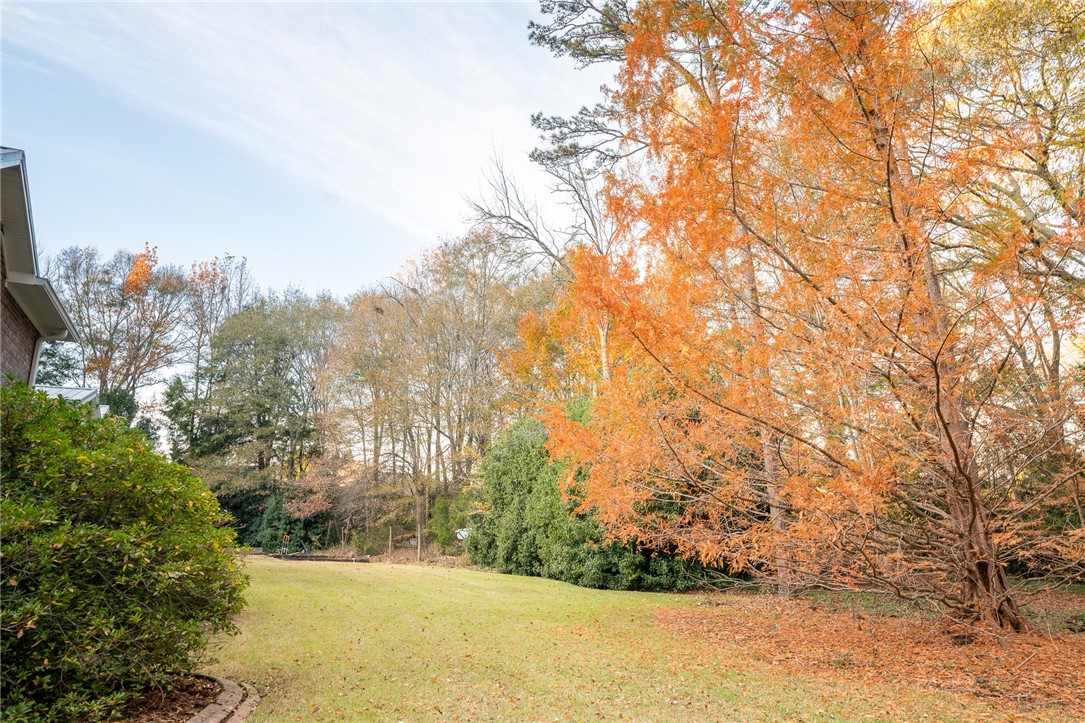 423 Issaqueena Trail Clemson, SC 29631 - Photo 46 of 48 Gallery Image 46